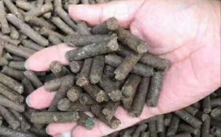 水果渣越來越受歡迎，因為它的出現—生物質顆粒機設備