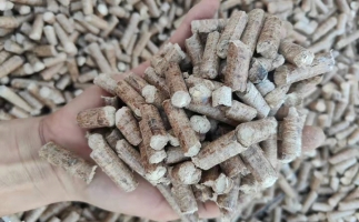 木材加工廠木屑堆積如山，環(huán)保部門令趕緊處理怎么辦？有它就夠了